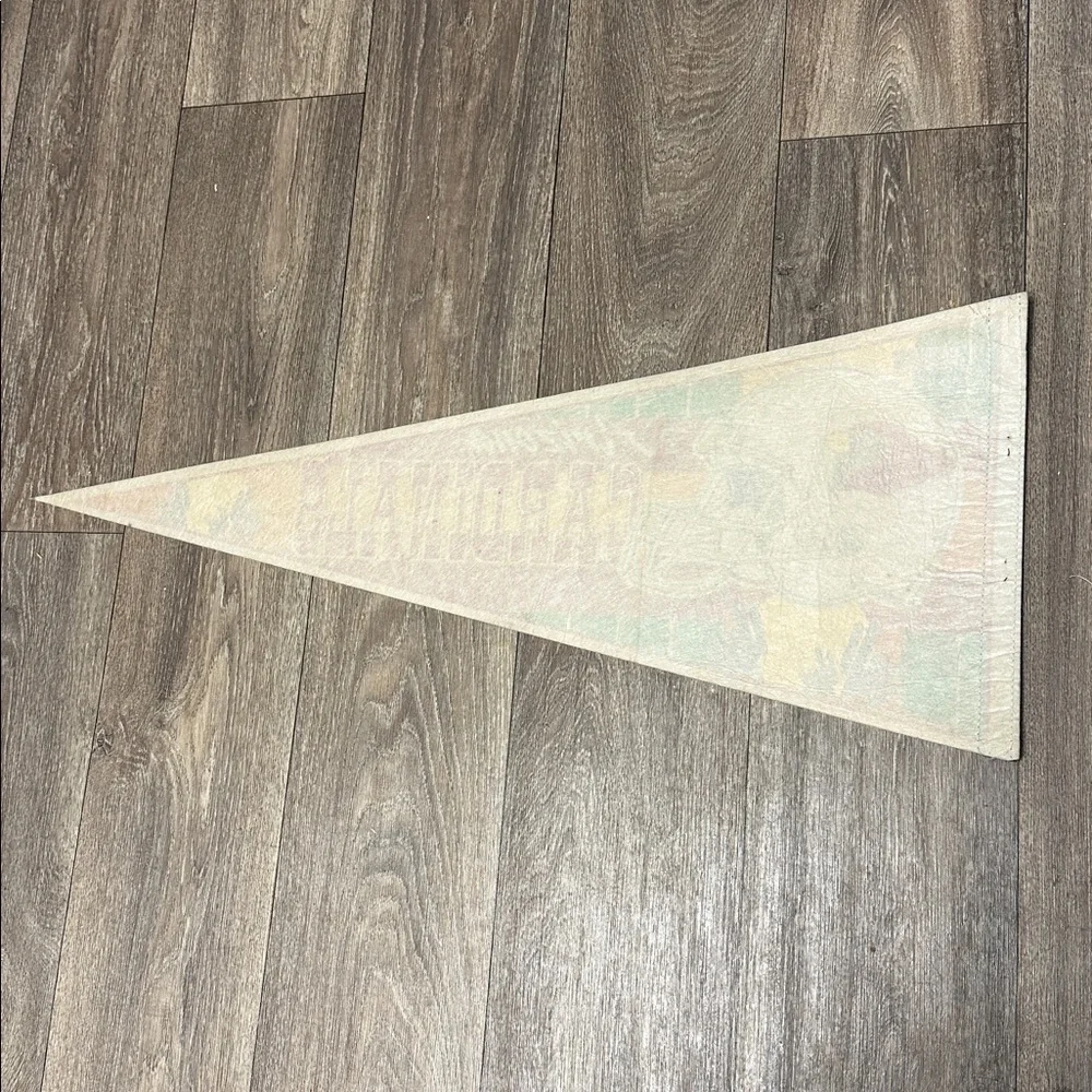 Arizona Cardinals Pennant